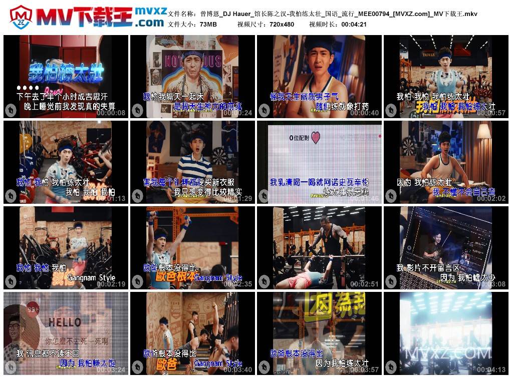 曾博恩_DJ Hauer_馆长陈之汉-我怕练太壮_国语_流行_MEE00794